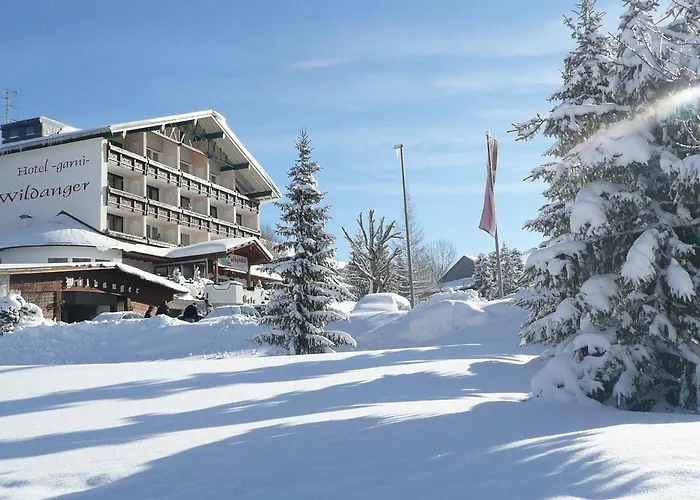 Hotel Garni Wildanger 3*